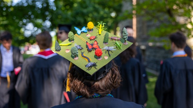 Decorated mortarboard