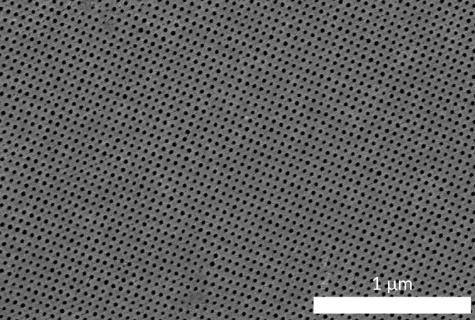 Microscopy of a self-assembled isoporous membrane with highly uniform structure.