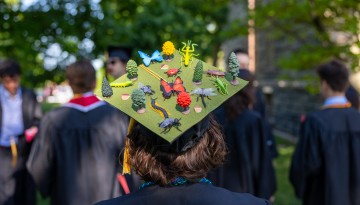 A mortarboard decorated with bugs.  