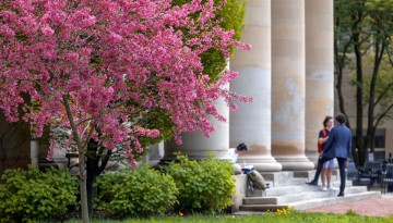 Spring flowers blossom outside Goldwin Smith Hall.